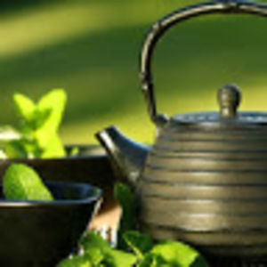 Meet your Posher, V-zen